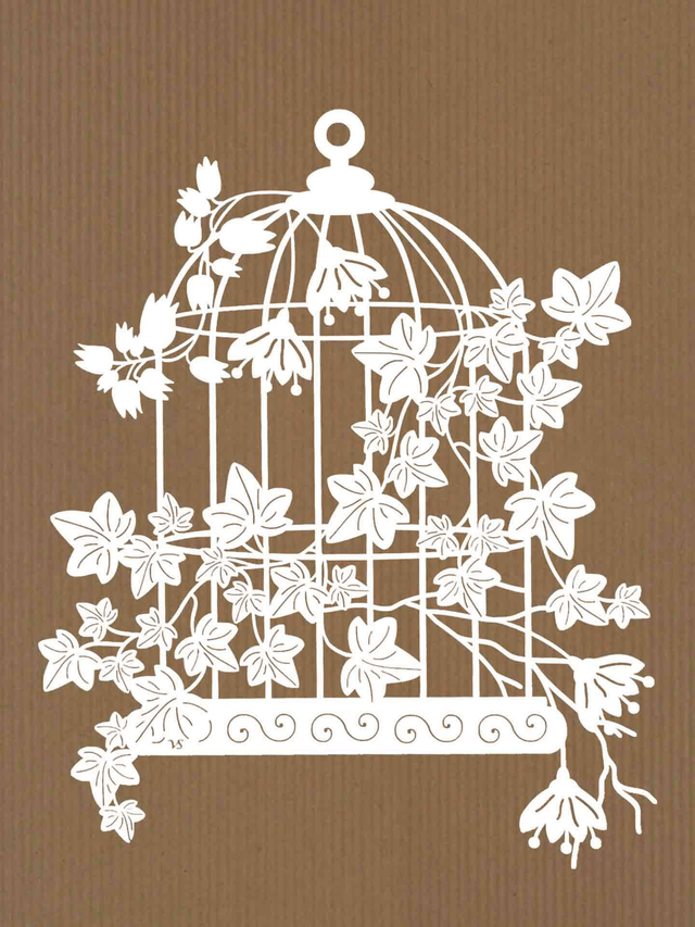 Cage Lierre